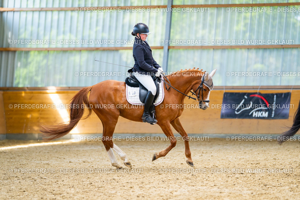 DSC08747 | Pferdegrafie