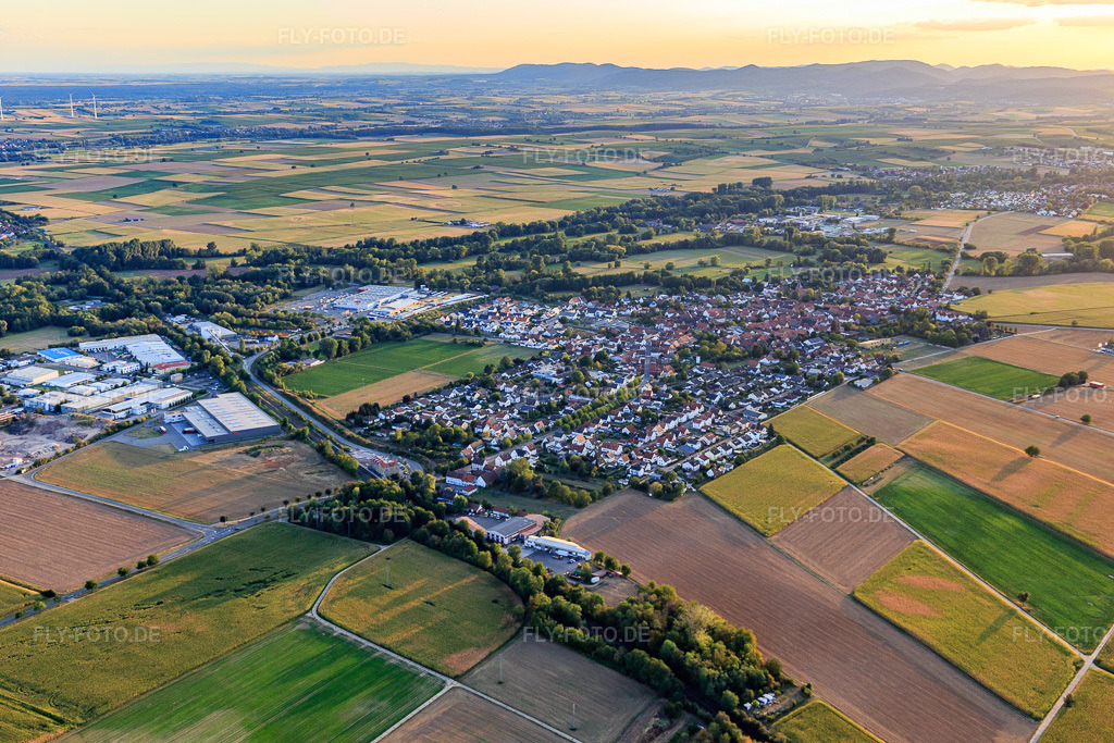 Luftbild: Ortsansicht von Nordosten in Rohrbach im Bundesland Rheinland-Pfalz in Deutschland. Foto: IMG_117494.jpg vom 06.09.2019 durch Werner Riehm/FLY-FOTO.de