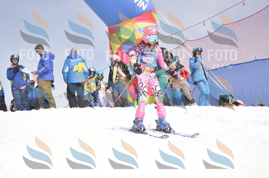 _ELE8705 | holidayphoto