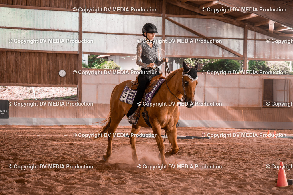 NE200259 | dv-media-shop - Realisiert mit Pictrs.com