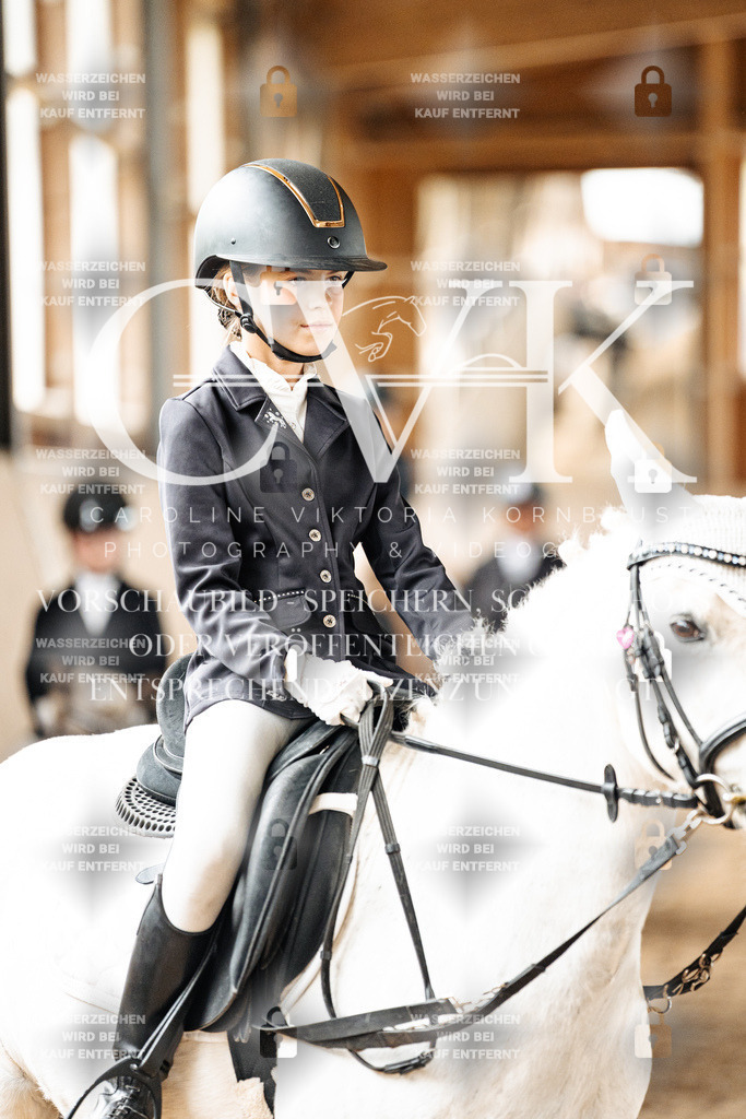 CK902036 | Turnierfotografie Pferdefotografie Trier Rheinland-Pfalz Pferdesport Reitsport Tierfotografie Sportfotografie Pferdevideo Pferdevideografie Equestrianvideography equestrianphotography  - Realized with Pictrs.com