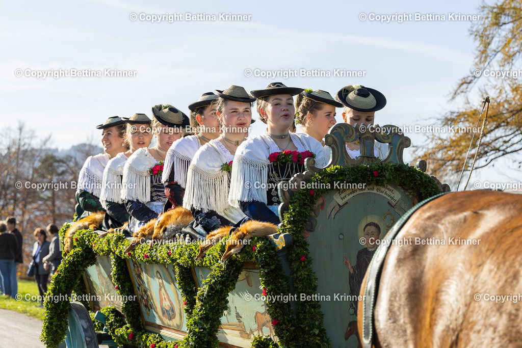 LBT24-1453 | foto-bettina-krinner - Realisiert mit Pictrs.com