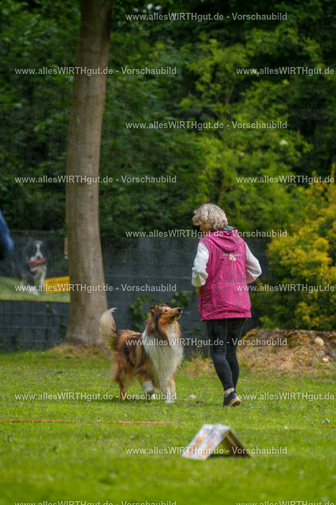 @allesWIRTHgut_Tierfotografie - www.allesWIRTHgut.de - 095258-7R507797 | Professionelle Tierfotografie in Mönchengladbach von Daniel Wirth (allesWIRTHgut). Liebevolle & natürliche Bilder von Hunden & Katzen für unvergessliche Erinnerungen.