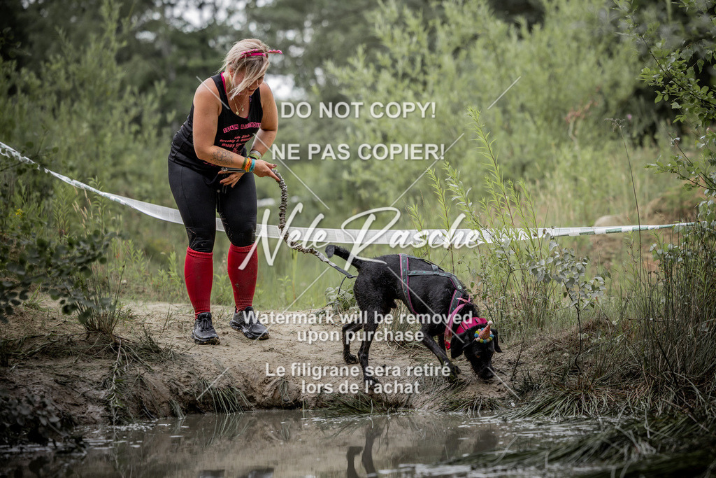nelerasche_so0800-0930_393 | nelerasche