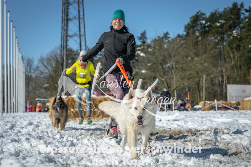 1124_ZZ91968-3 | kk-dogfotos