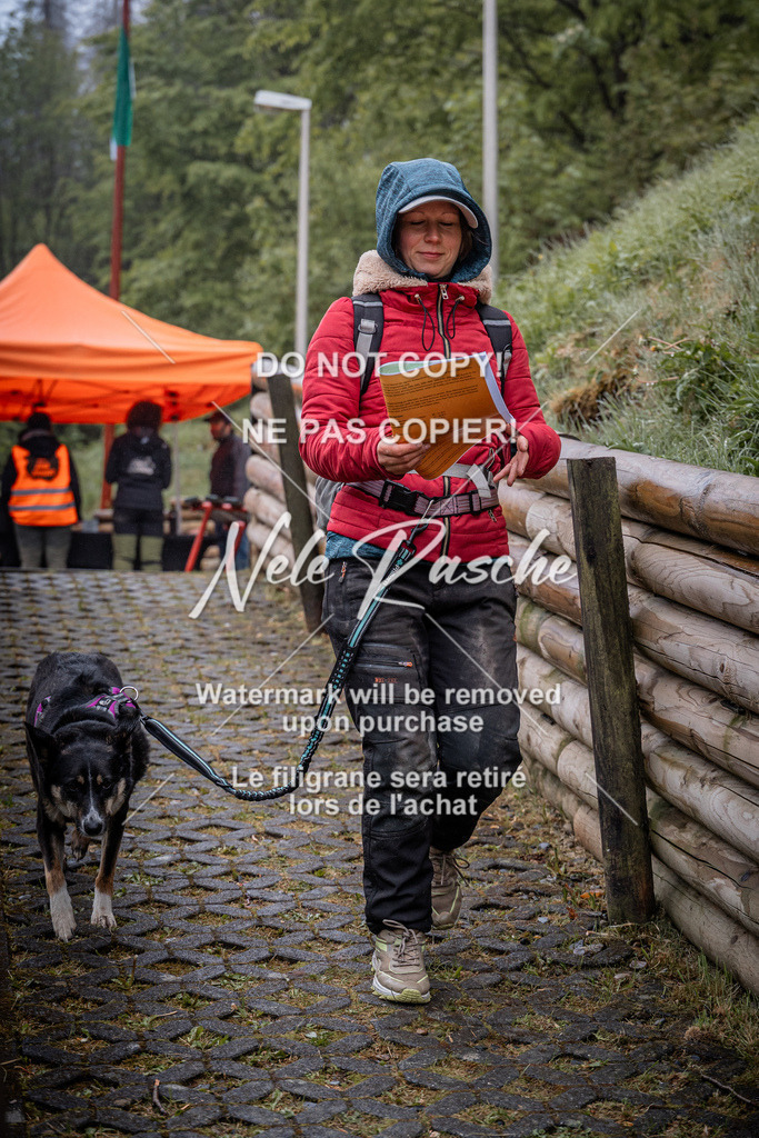 nelerasche_SoAuszug_165 | nelerasche