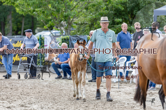 _MG_0001a (108) | mandyhollmannphotographie