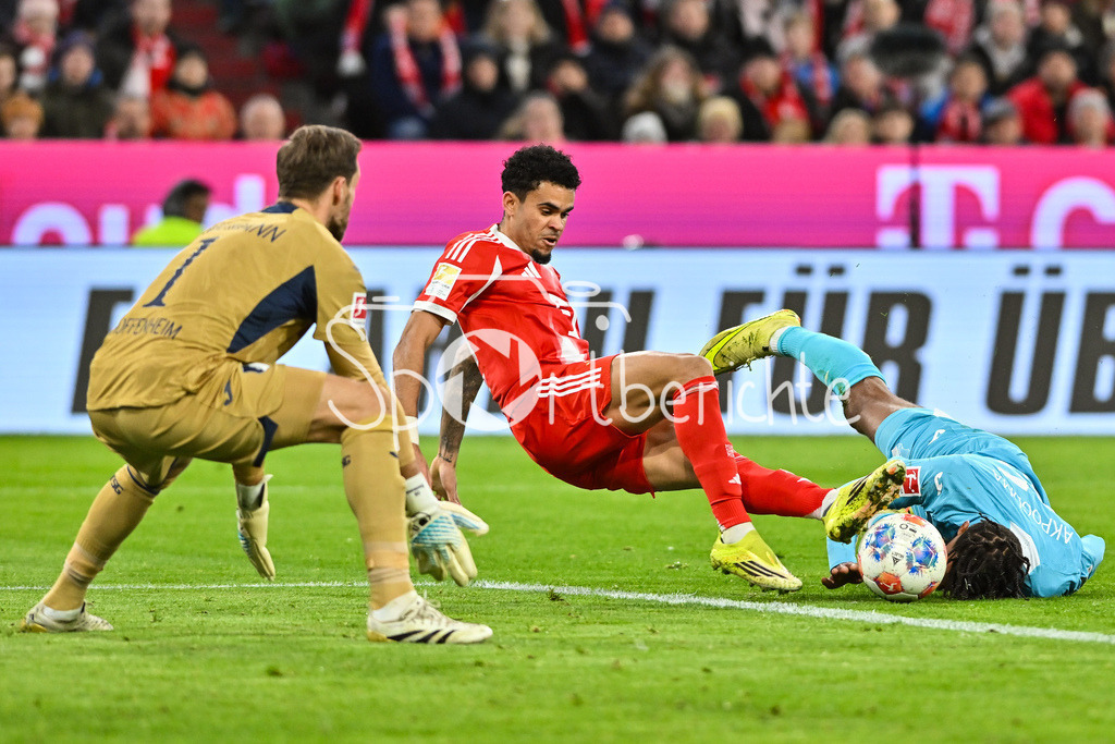 FC Bayern München - TSG 1899 Hoffenheim | MUNICH, GERMANY - 08. FEBRUARY: strittige Szene - Luis DIAZ (FC Bayern Munich 14) im Duell mit Kevin AKPOGUMA (TSG Hoffenheim 25), Oliver Baumann (TSG Hoffenheim 1) / Elfmeter / rote Karte / Zweikampf während dem Bundesligamatch zwischen dem FC Bayern München und der TSG 1899 Hoffenheim am 21. Spieltag in der Allianz Arena / DFL REGULATIONS PROHIBIT ANY USE OF PHOTOGRAPHS AS IMAGE SEQUENCES AND/OR QUASI-VIDEO