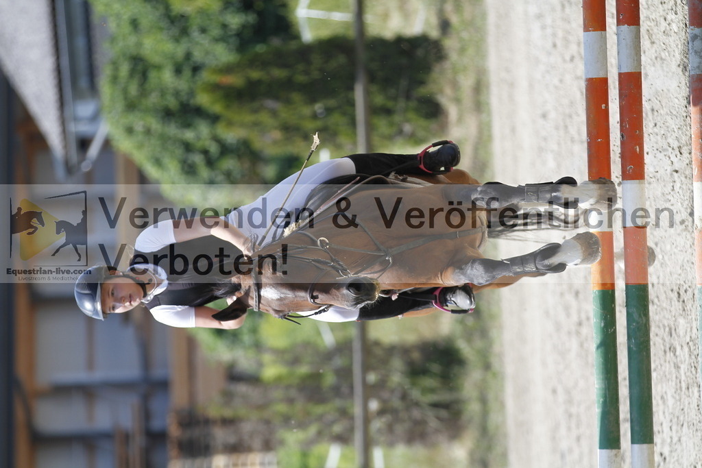 _MG_7995 | equestrian-live-com