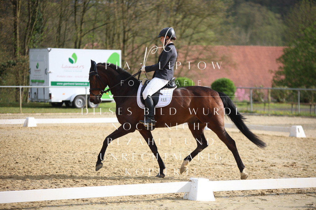 IMGT7192 | pl-fotografie