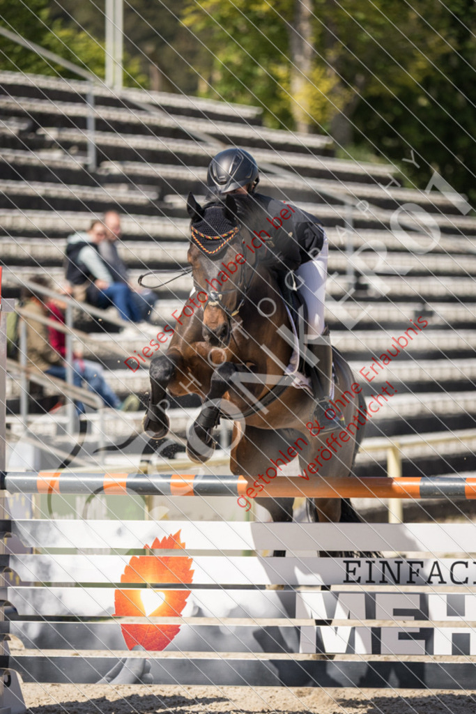 IMG_5233 | Sport-, Event- und Tierfotos in Profiqualität. Einfach auswählen, bestellen und herunterladen. Dein Moment – perfekt festgehalten.