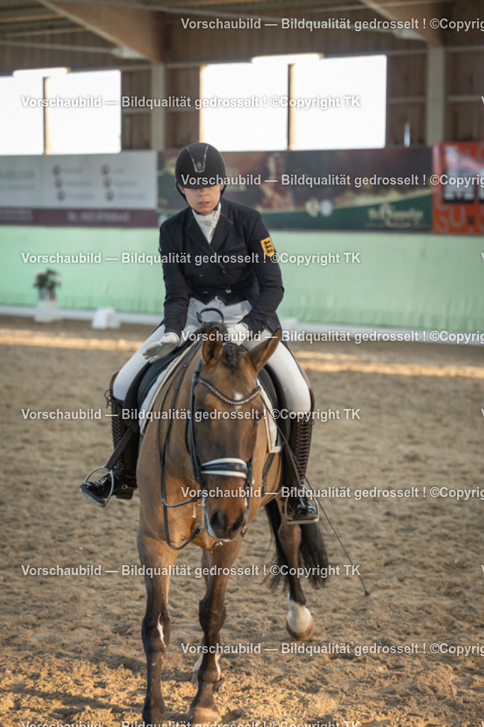 _D5A0923 | Emotionale Pferde- & People-Fotografie rund um Heidelberg, Leimen & Umgebung. Natürliche Fotos von Pferd, Mensch & Familie. Jetzt Termin sichern!