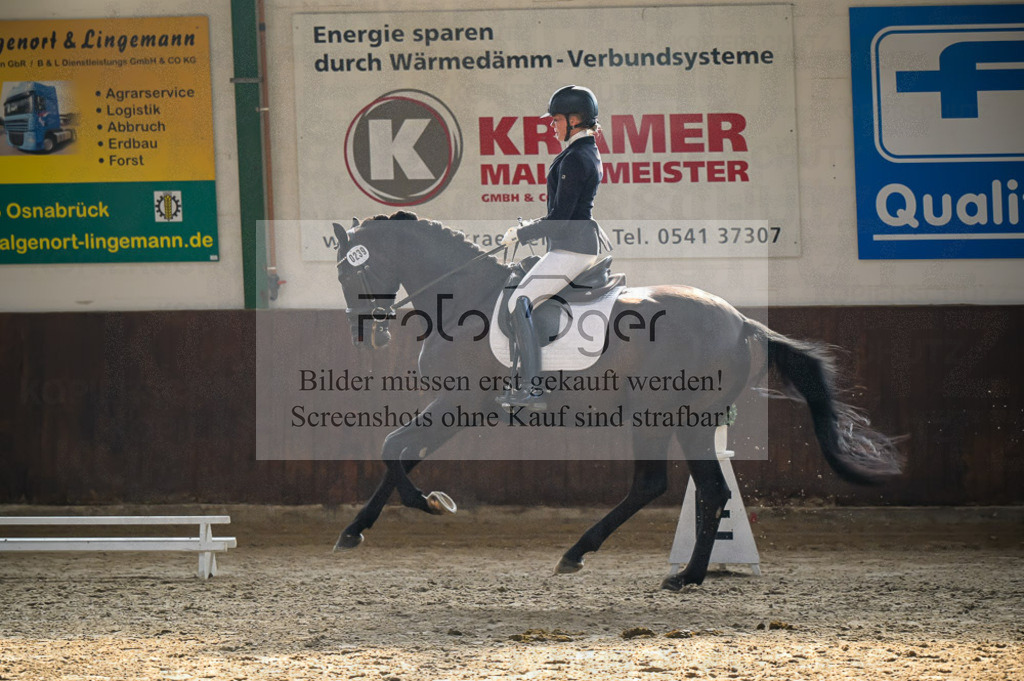 Reitturnier Voxtrup | Entdecke hochwertige Reitturnierfotos von Foto Oger. Professionell, emotional und authentisch – jetzt Lieblingsmomente im Shop bestellen.Deutschlandweite Turnierfotografie. - Realized with Pictrs.com