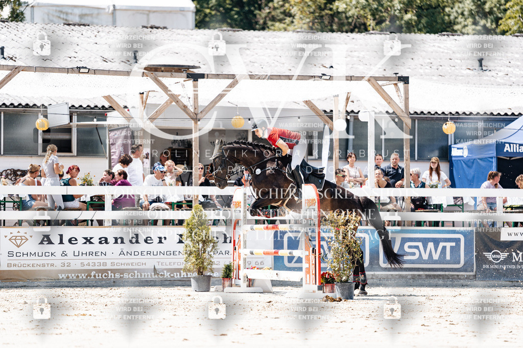 CK909718 | Turnierfotografie Pferdefotografie Trier Rheinland-Pfalz Pferdesport Reitsport Tierfotografie Sportfotografie Pferdevideo Pferdevideografie Equestrianvideography equestrianphotography  - Realisiert mit Pictrs.com
