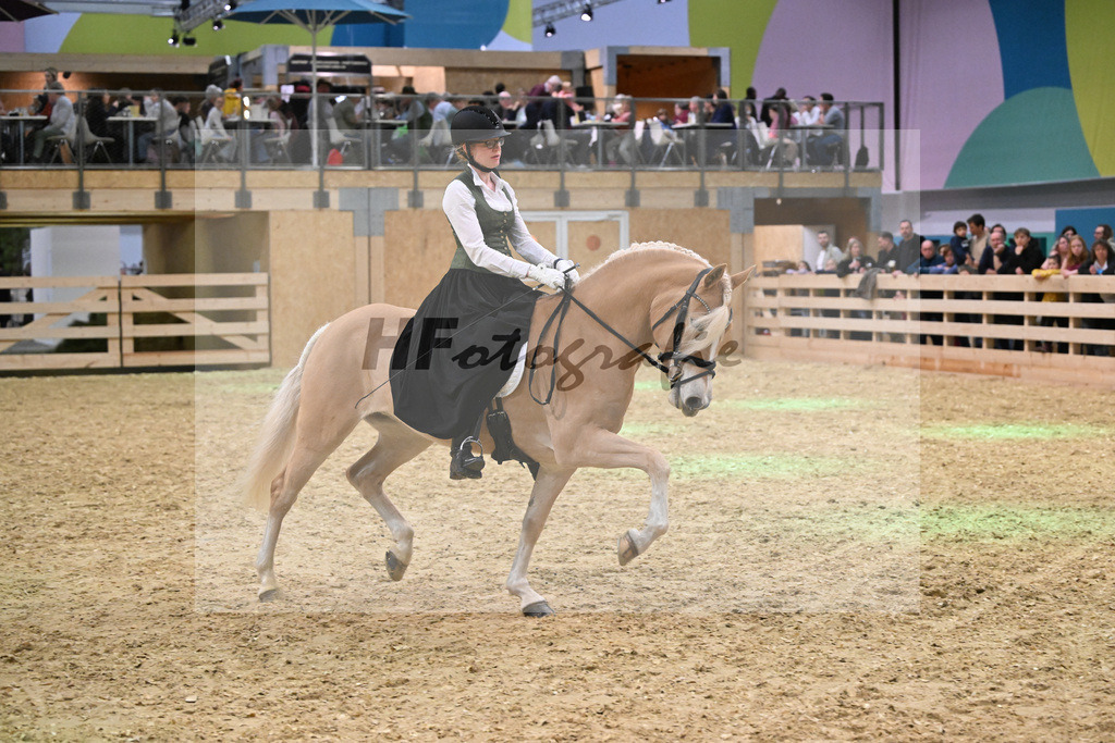 Schauprogramm_DSP Daria_1260888 | hf-fotografie - Realisiert mit Pictrs.com