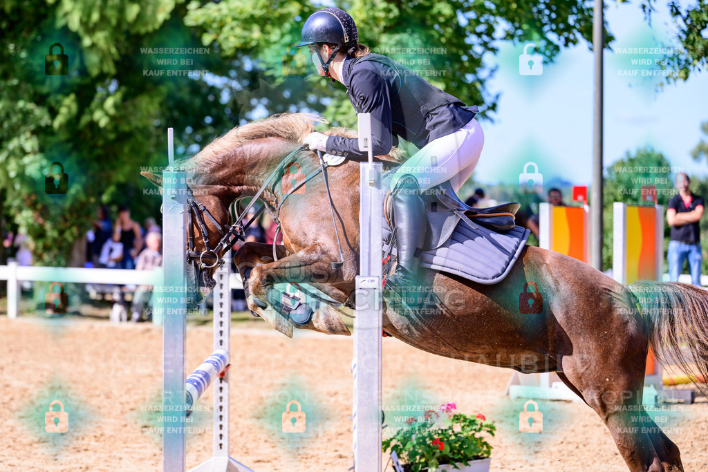 30082026-Giesenbach-Prfg16-0646 | Fokus Hufschlag Fotografie - Realisiert mit Pictrs.com
