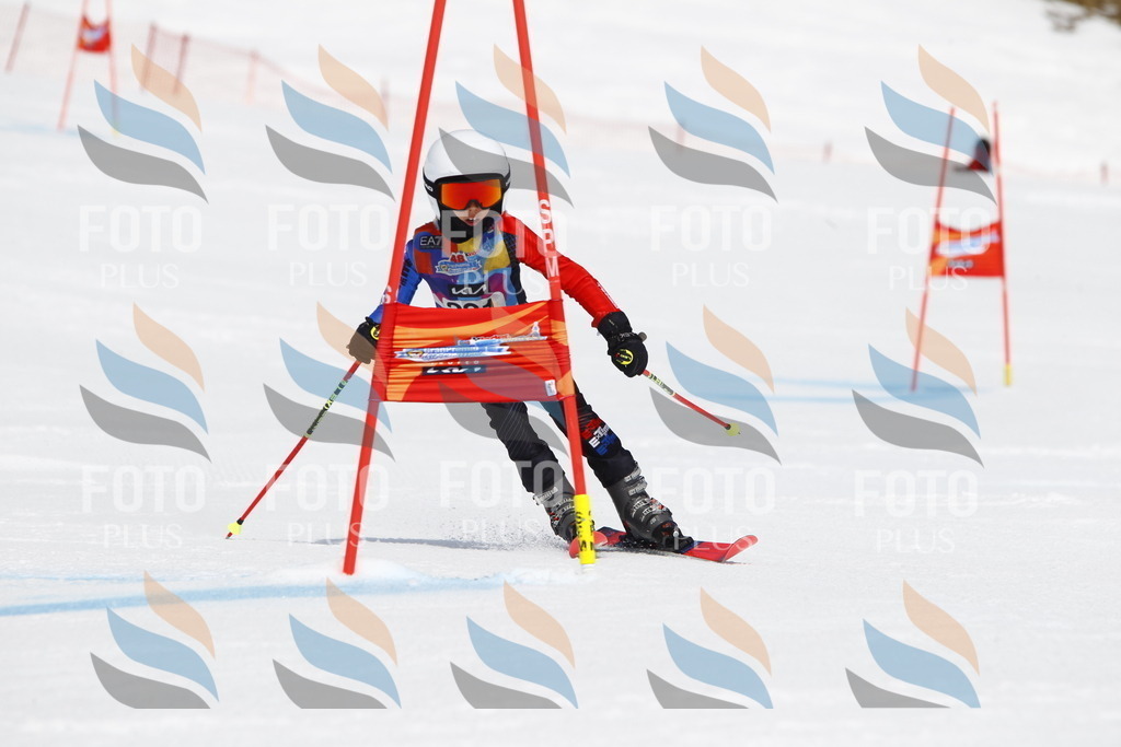 _U3G5949 | holidayphoto