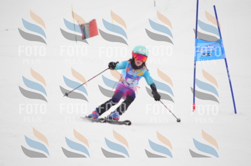 C0520 | holidayphoto