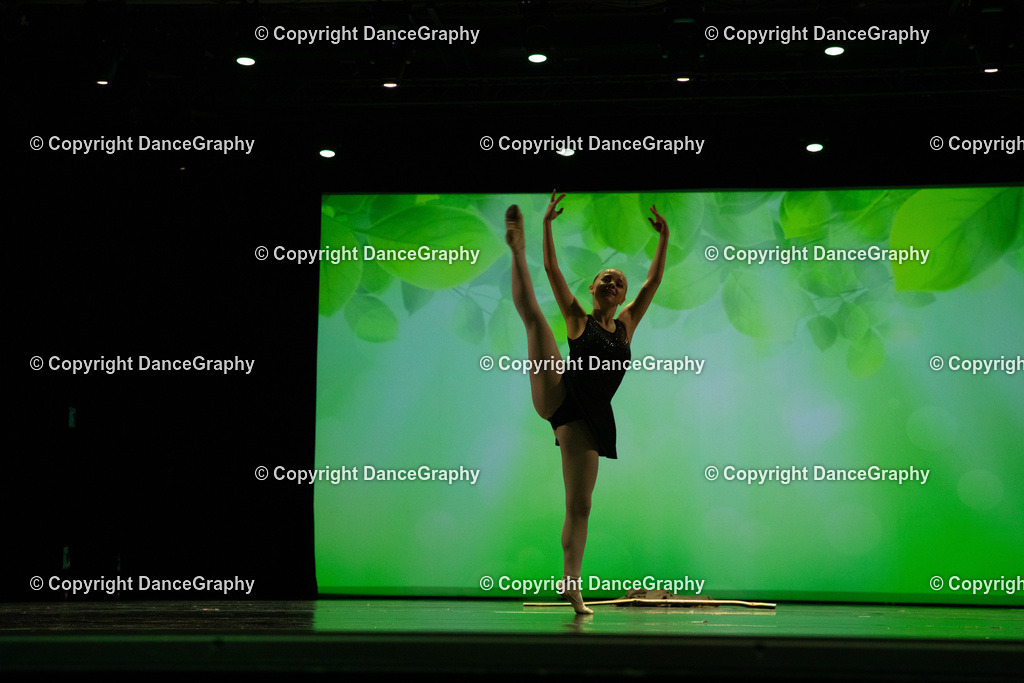 GPHY6840 | DanceGraphy - Realisiert mit Pictrs.com