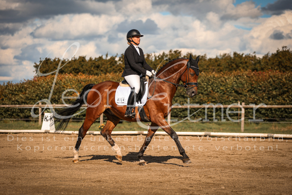 15.SaDrL00411 | Leoni Ertmer Photography - Realisiert mit Pictrs.com