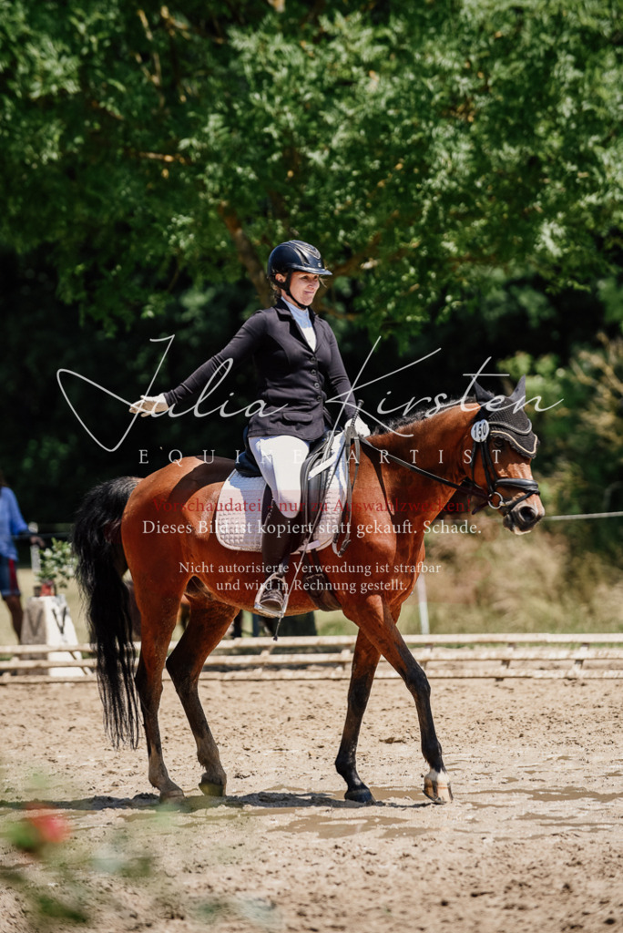 DSC_1909 | Pferde- und Turnierfotografie in Westsachsen. Pferdeportraits, Auftragszeichnungen und intuitive Kunst.