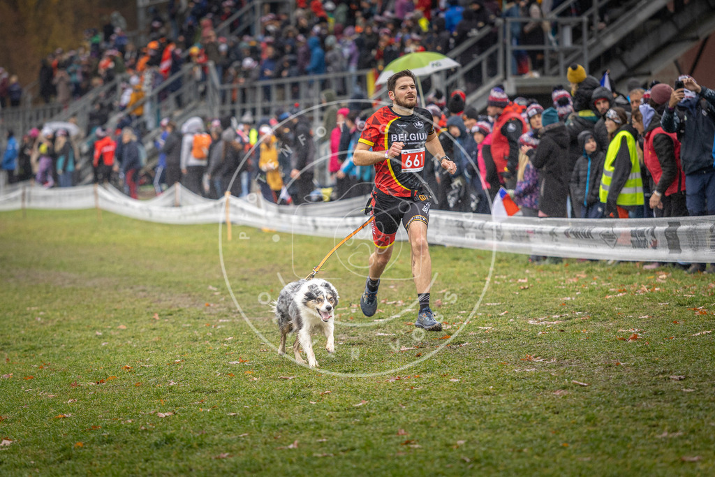 CaniXpix_DV3A9952 | Hundefotografie, Tierfotograf, Pfotenfotografie, Fotoshooting Hund, Hunde Portrait, Hundesport, Hundeportraits, Heideshooting, Hunde, Sportfotograf, Hundefotograf, Turnierhundsport, THS,  - Realisiert mit Pictrs.com