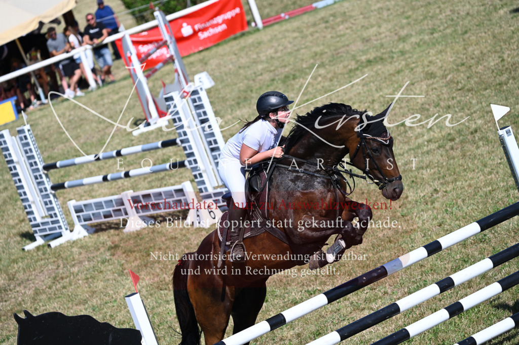 DSC_1998 | Pferde- und Turnierfotografie in Westsachsen. Pferdeportraits, Auftragszeichnungen und intuitive Kunst.