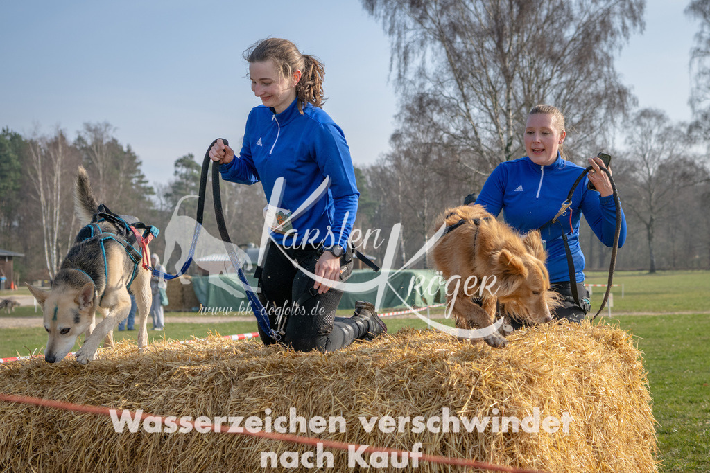 _ZZ90049 | kk-dogfotos