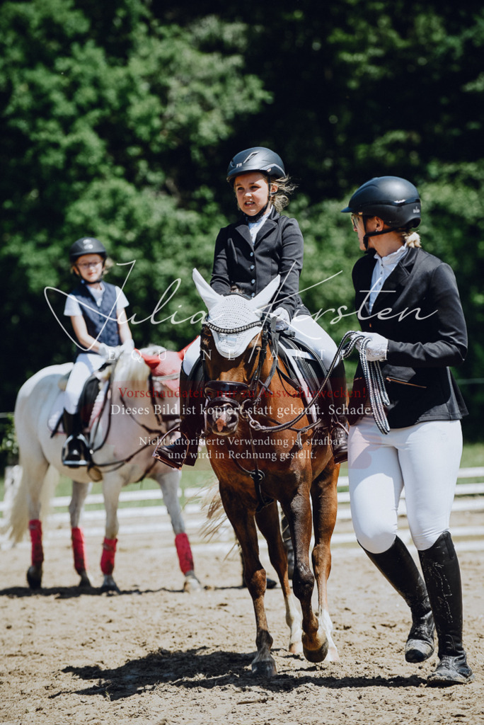 DSC_2586 | Pferde- und Turnierfotografie in Westsachsen. Pferdeportraits, Auftragszeichnungen und intuitive Kunst.