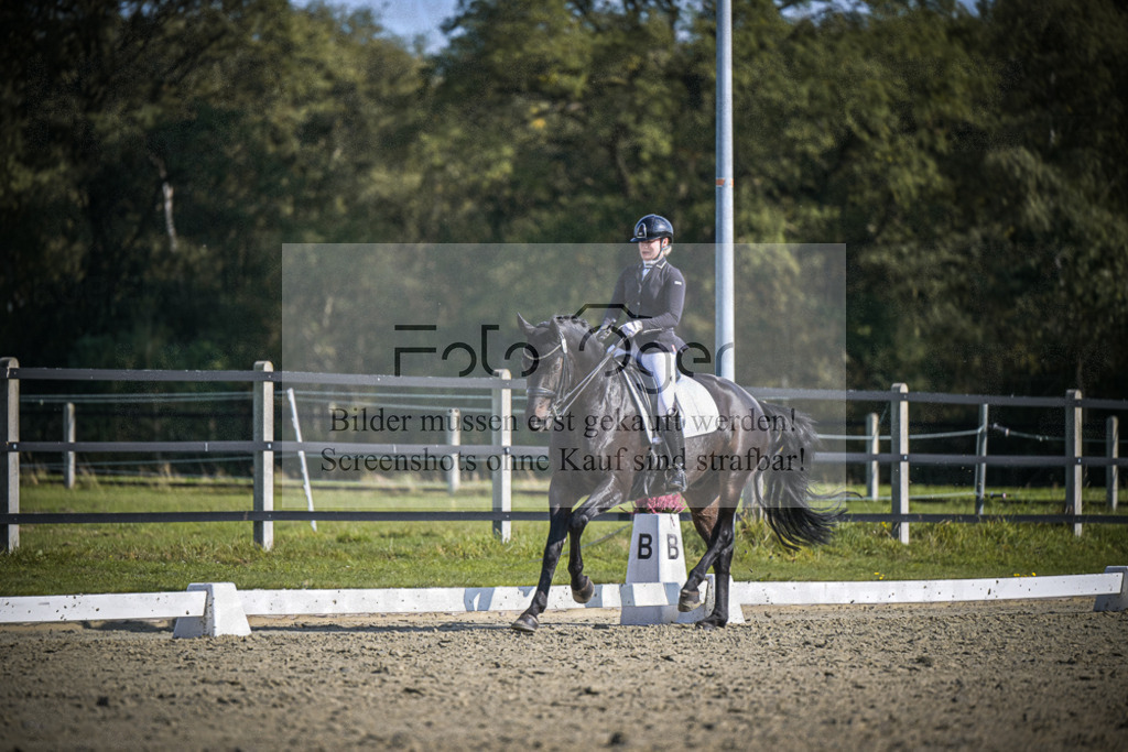 DOS_1380 | Entdecke hochwertige Reitturnierfotos von Foto Oger. Professionell, emotional und authentisch – jetzt Lieblingsmomente im Shop bestellen.Deutschlandweite Turnierfotografie. - Realisiert mit Pictrs.com