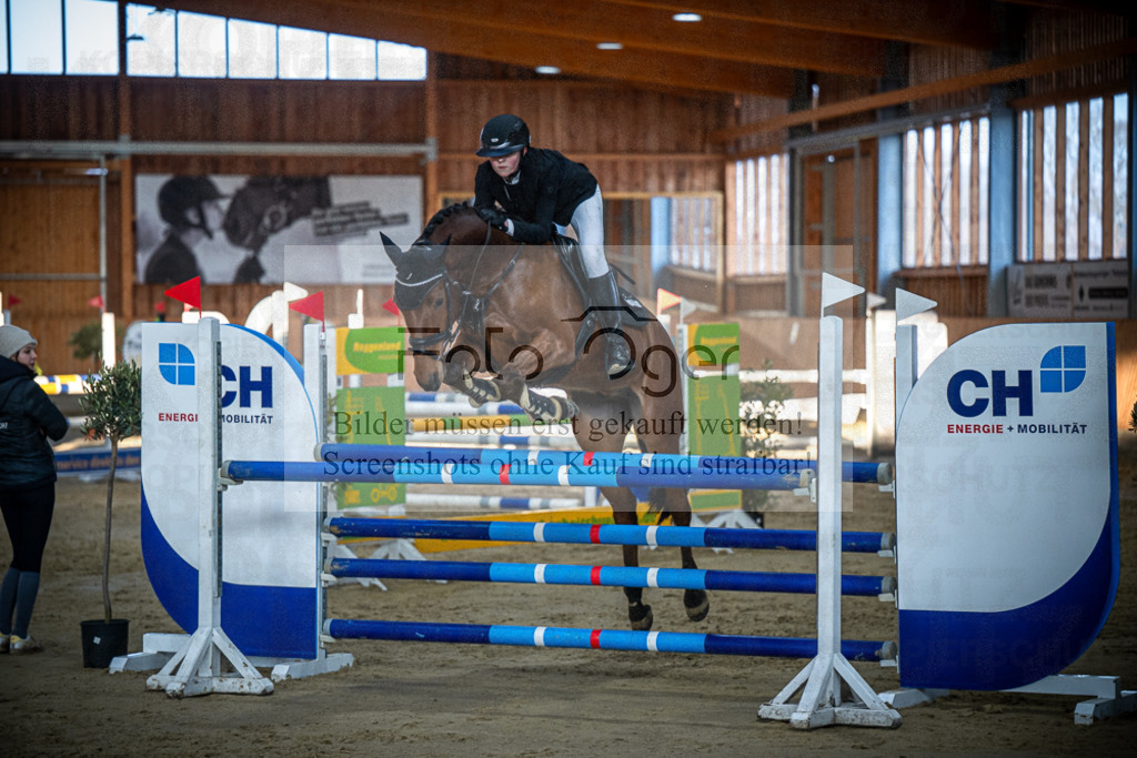 DOS_0697 | Entdecke hochwertige Reitturnierfotos von Foto Oger. Professionell, emotional und authentisch – jetzt Lieblingsmomente im Shop bestellen.Deutschlandweite Turnierfotografie. - Realisiert mit Pictrs.com
