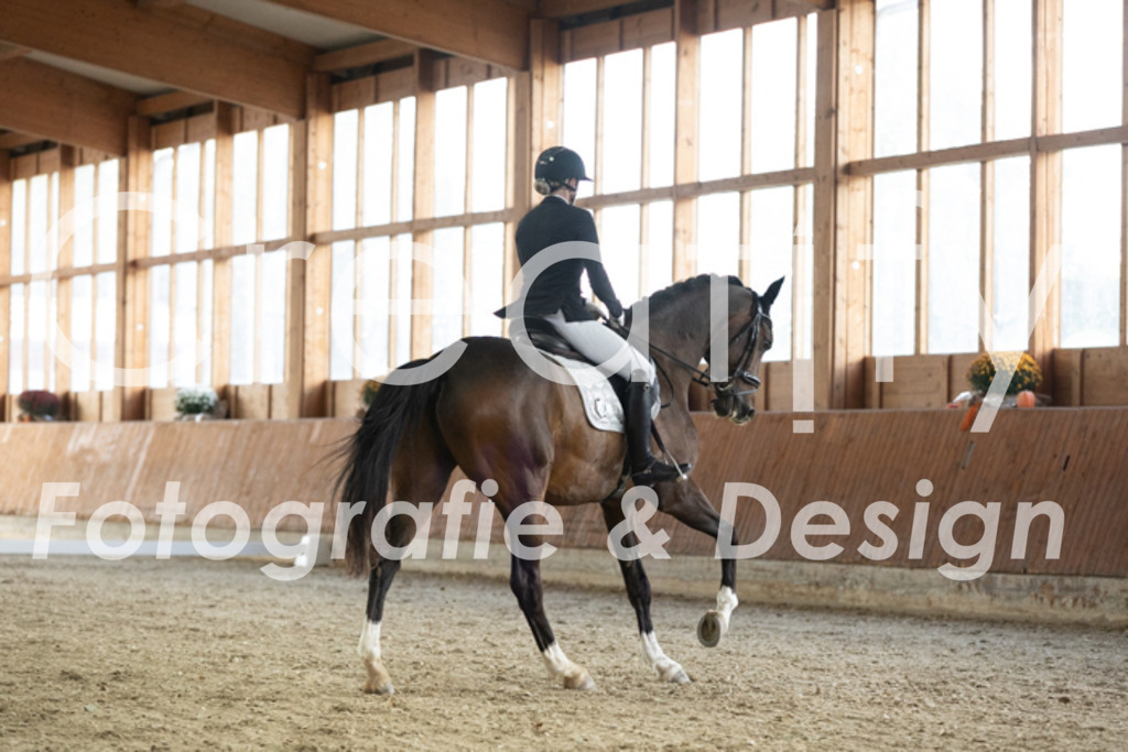 IMG_2523 | Creatify Fotografie