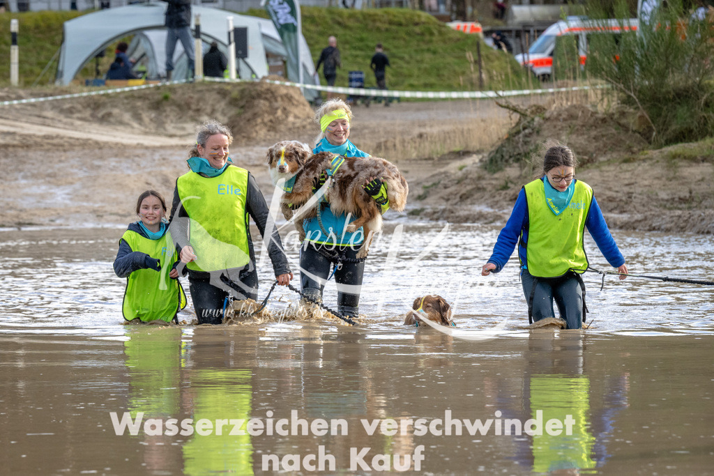 1619_ZZ94995 | kk-dogfotos