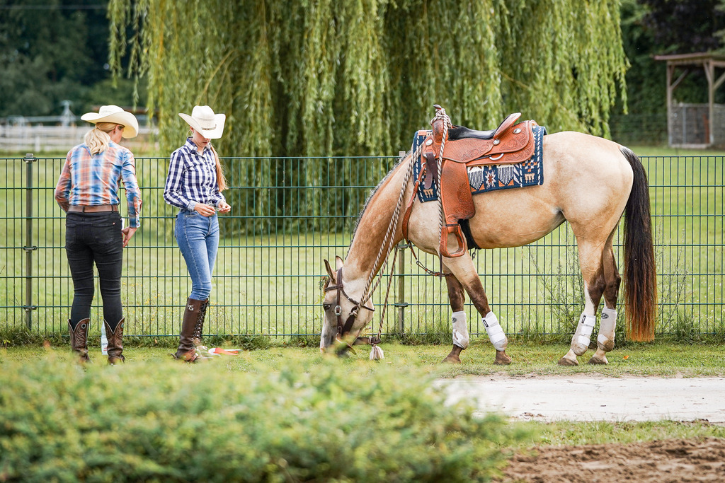 DSC08506 | Pferdegrafie