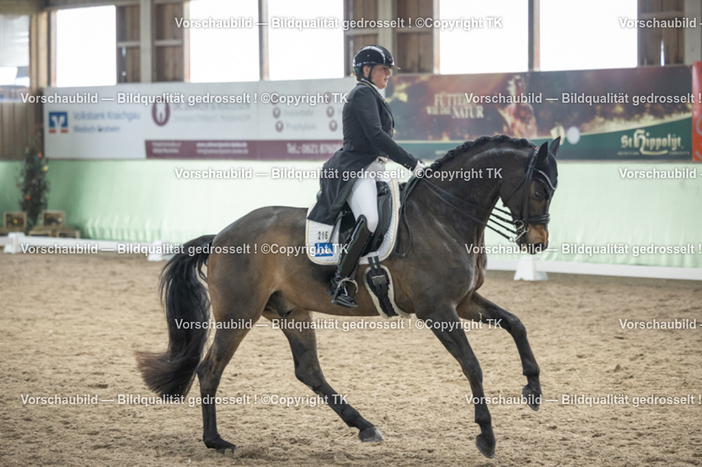 _D5A6105 | Emotionale Pferde- & People-Fotografie rund um Heidelberg, Leimen & Umgebung. Natürliche Fotos von Pferd, Mensch & Familie. Jetzt Termin sichern!