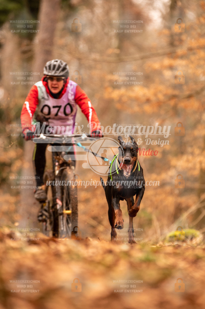 AKM_ST_2023_SAM_Bike-55 | PayLife