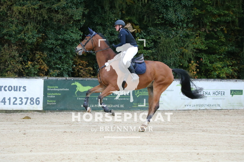 DL2Q3723 | Willkommen bei Brunnmayr - Design & Fotografie – Ihrem Spezialisten für Reitturniere und Pferdeveranstaltungen in Oberösterreich, Salzburg und Bayern! Seit über 17 Jahren sind wir leidenschaftlich dabei.