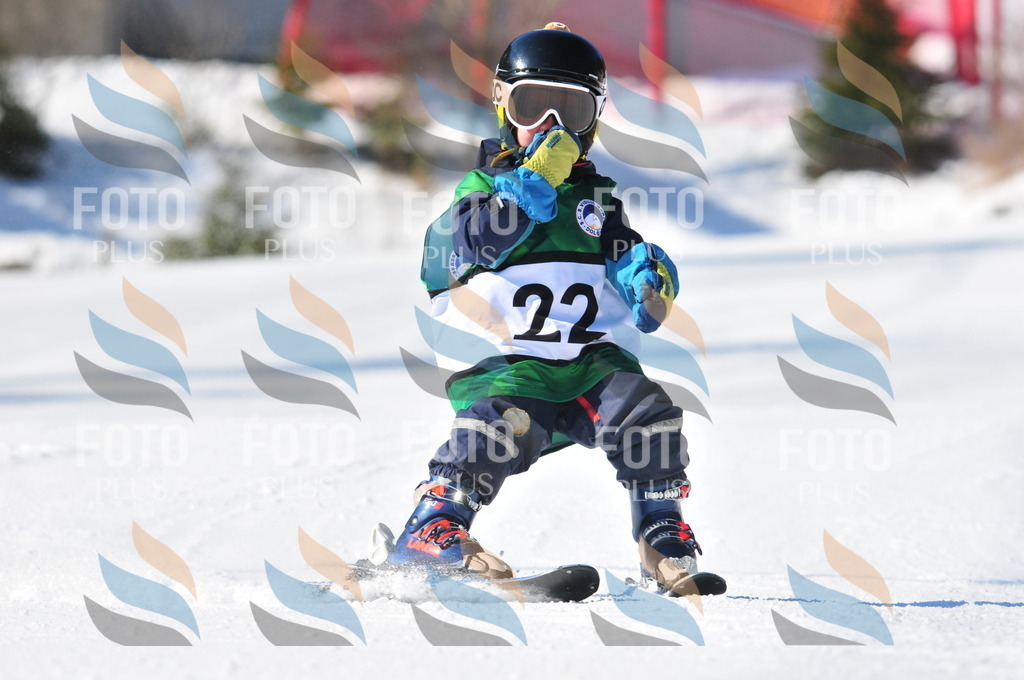 C2541 | holidayphoto