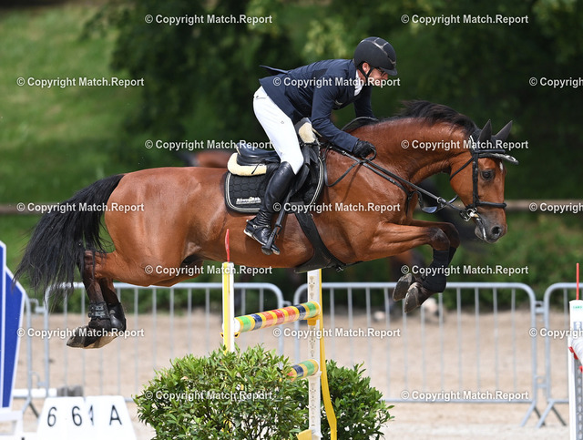 Reiten Tuebingen Springpfruefung S mit 2 Sternen | Reiten  04.07.2021Springpruefung Kl. S  mit 2 Sternen, Grosser Preis der Stadt TuebingenMarc Poppel (RSZ Hohenzollern) auf Dalton 21FOTO: ULMER PressebildagenturxxNOxMODELxRELEASExx