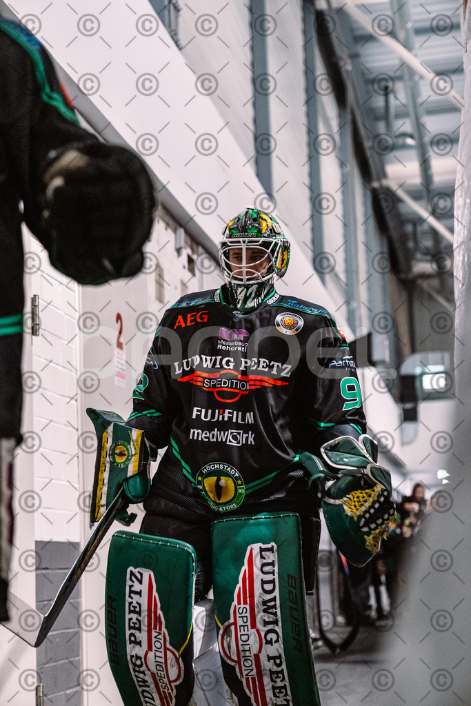 Alligators_vs_Deggendorf_23_01_2026-27 | Höchstadt Alligators Fotogalerie: Eishockey-Action aus Franken. Professionelle Spielfotos, Portraits & Stadionbilder zum Download. Jetzt entdecken! - Realisiert mit Pictrs.com