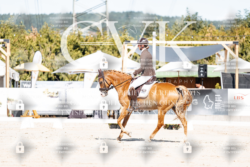 CK909033 | Turnierfotografie Pferdefotografie Trier Rheinland-Pfalz Pferdesport Reitsport Tierfotografie Sportfotografie Pferdevideo Pferdevideografie Equestrianvideography equestrianphotography  - Realisiert mit Pictrs.com