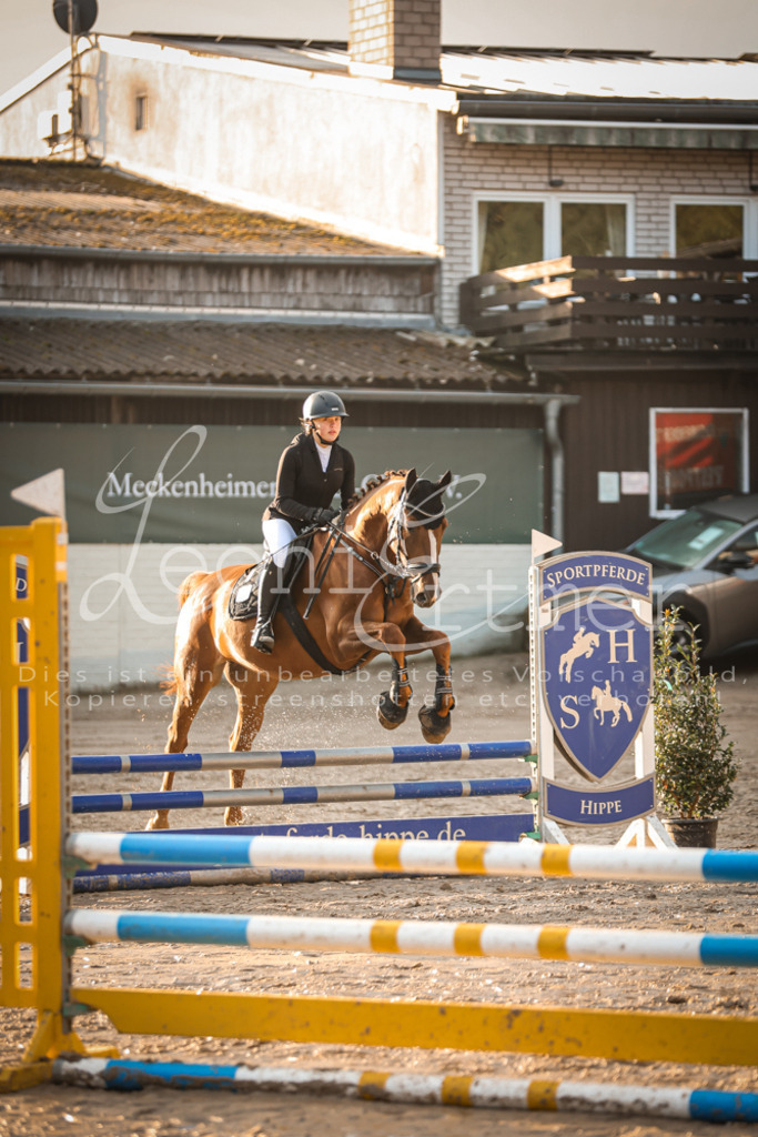 10.SaSpE00088 | Leoni Ertmer Photography - Realisiert mit Pictrs.com