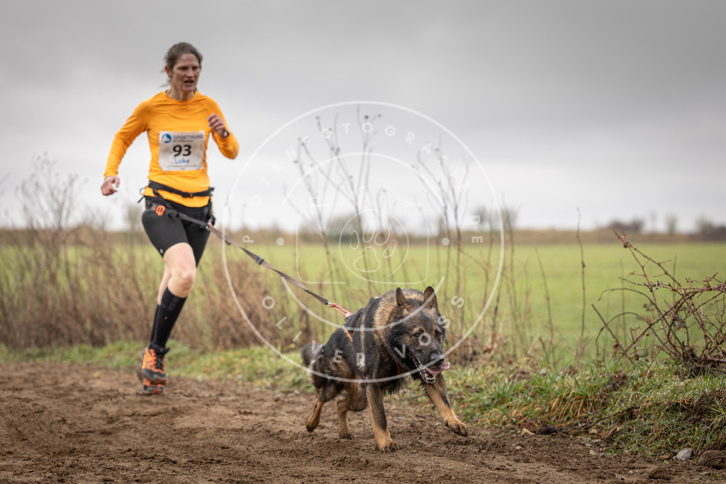 DV3A0050 | Hundefotografie, Tierfotograf, Pfotenfotografie, Fotoshooting Hund, Hunde Portrait, Hundesport, Hundeportraits, Heideshooting, Hunde, Sportfotograf, Hundefotograf, Turnierhundsport, THS,  - Realisiert mit Pictrs.com