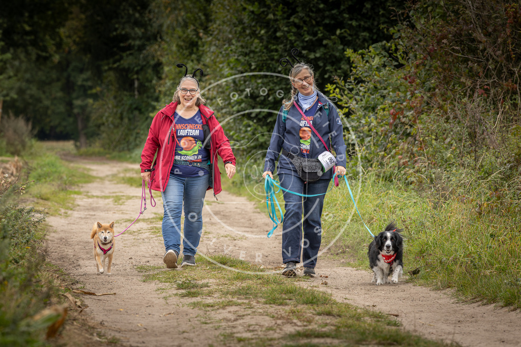 Pfotenfotografie_DV3A8666 | Hundefotografie, Tierfotograf, Pfotenfotografie, Fotoshooting Hund, Hunde Portrait, Hundesport, Hundeportraits, Heideshooting, Hunde, Sportfotograf, Hundefotograf, Turnierhundsport, THS,  - Realisiert mit Pictrs.com
