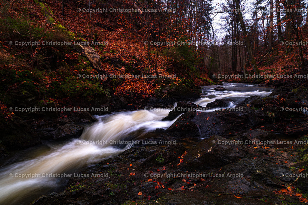 011 - November | bildkomponist - Realisiert mit Pictrs.com