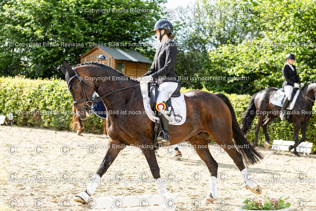 CL5A6824-2 | Emilia Reinking Fotografie - Realisiert mit Pictrs.com