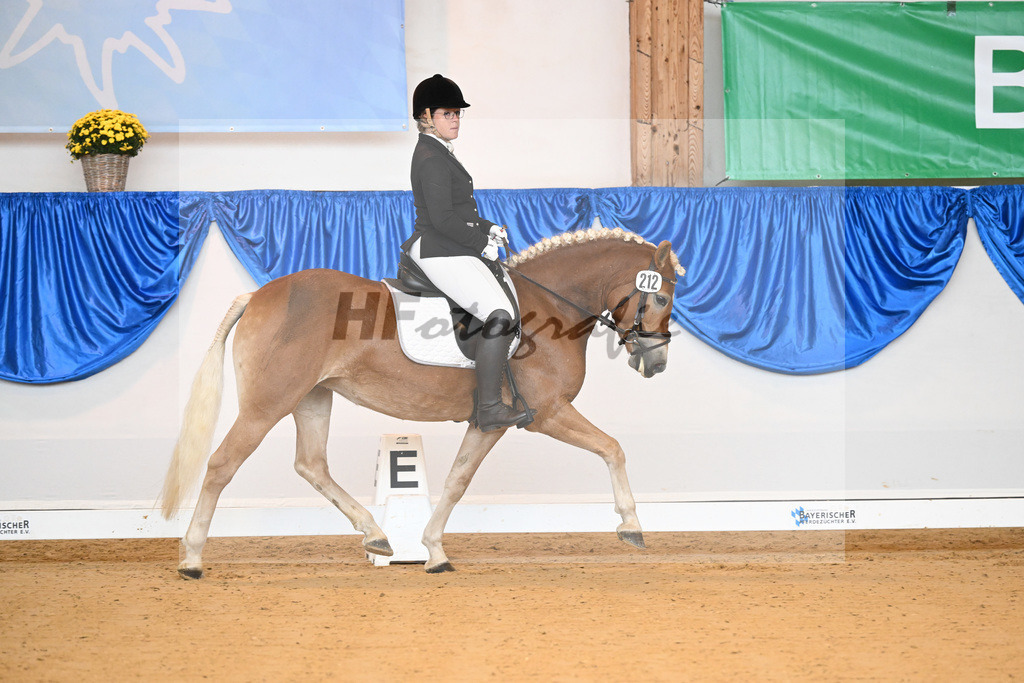 Kat-Nr. 212 Eyra_ZG Wolfgramm_54221602 | hf-fotografie - Realisiert mit Pictrs.com