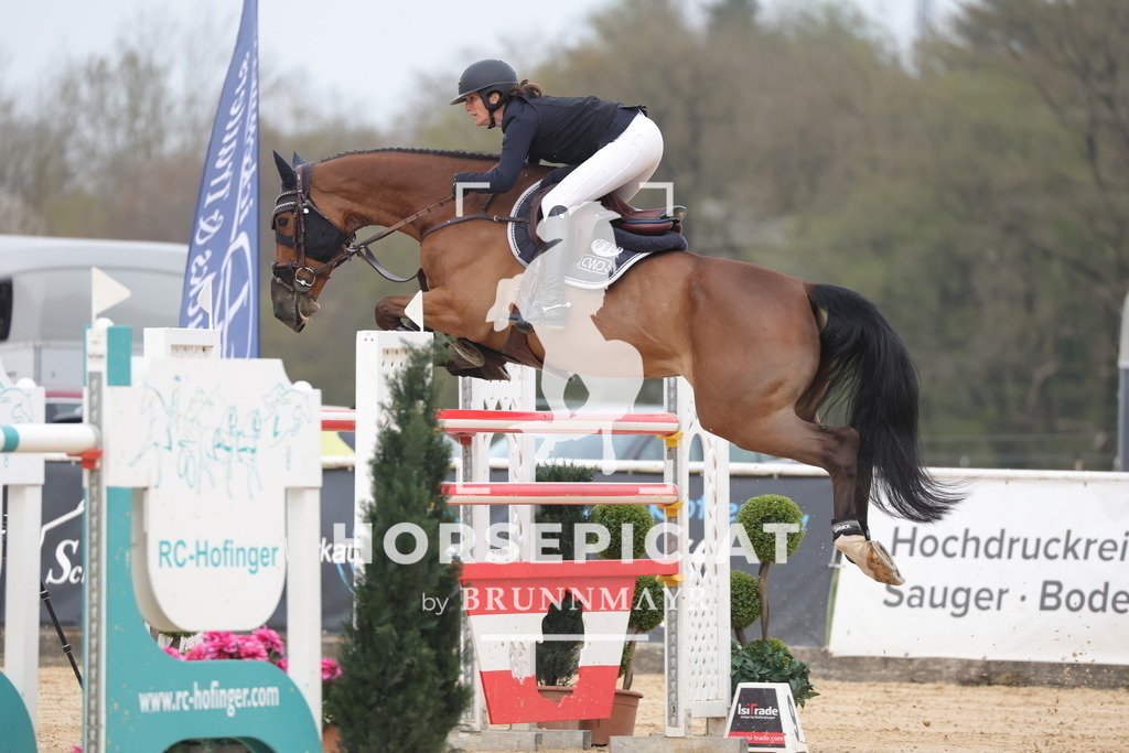 0P6A7655 | Willkommen bei Brunnmayr - Design & Fotografie – Ihrem Spezialisten für Reitturniere und Pferdeveranstaltungen in Oberösterreich, Salzburg und Bayern! Seit über 17 Jahren sind wir leidenschaftlich dabei.