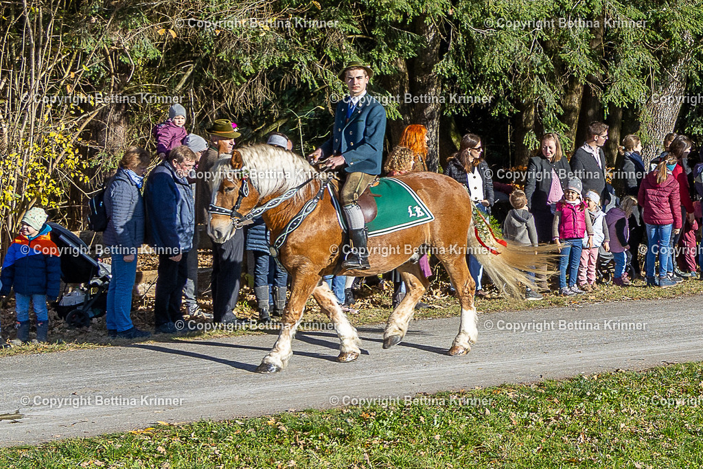 LBT25-338 | foto-bettina-krinner - Realisiert mit Pictrs.com