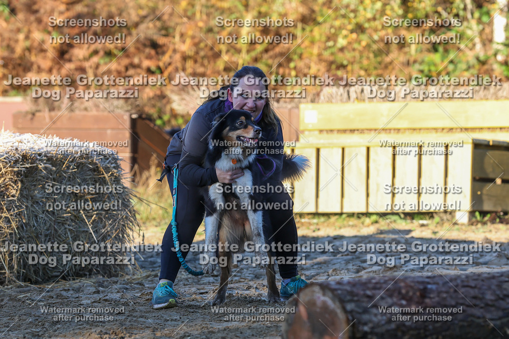 Dog Paparazzi - Strongdog 10-25-710 | Dog Paparazzi Jeanette Grottendiek Fotografie & Videografie - Realisiert mit Pictrs.com